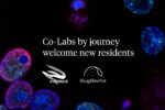 3BugBiome_Evoralis_Co-Labs-byjourney_IF1080