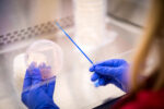 Photograph of a woman with blue latex gloves holding a blue sample stick and circular lab plate with pink markings