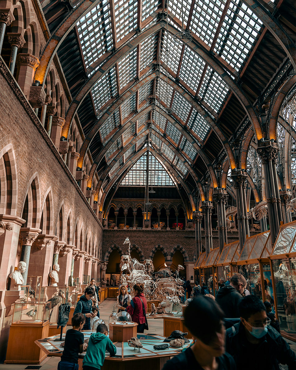 Oxford_Natural-History-Museum_Journey-L960